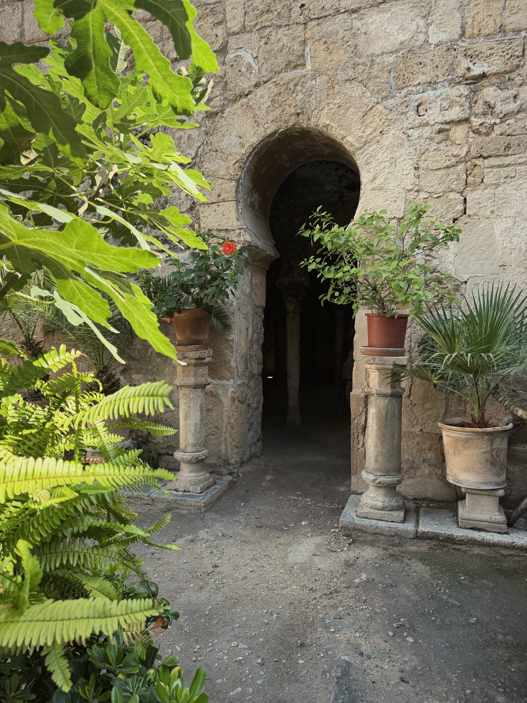 The garden of the Arab Baths in Palma