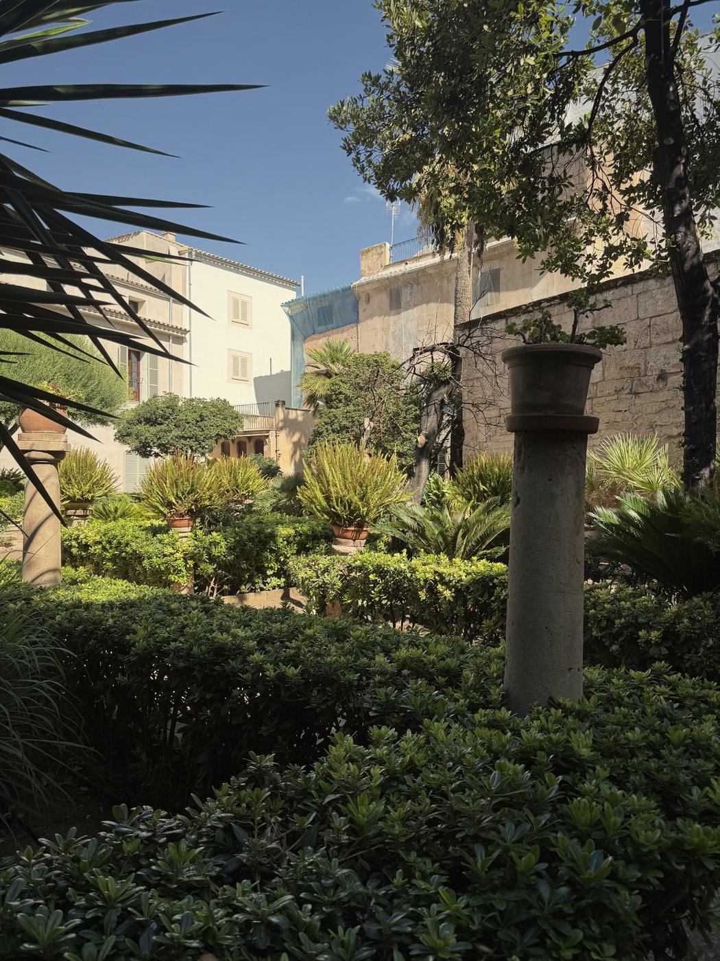 The garden of the Banys Àrabs in Palma