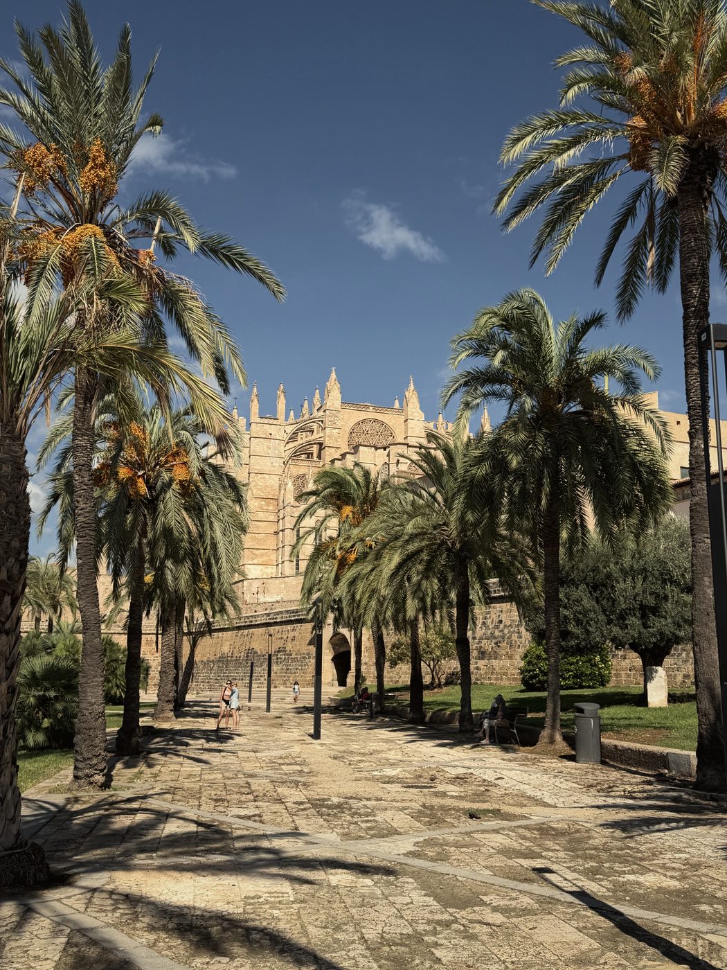Palma Cathedral seen from Parc de la Mar